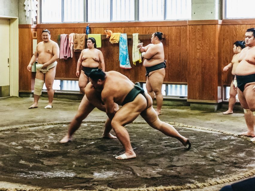Tokyo: Sumo Morning Training Visit - The Group Photo Moment, When It Happens and How to Get Ready