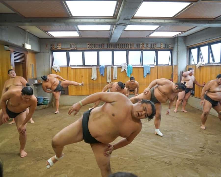 Tokyo: Sumo Practice Tour with Ring-Side Seat and Photoshoot - Should You Book This Sumo Practice Tour?