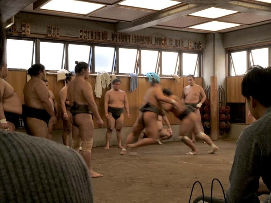 Tokyo: Sumo Practice Tour with Ring-Side Seat and Photoshoot - Photoshoot at the End: Wrestler Discretion Is Part of the Charm