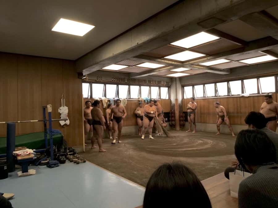 Tokyo: Sumo Practice Tour with Ring-Side Seat and Photoshoot - Who This Sumo Practice Tour Fits Best