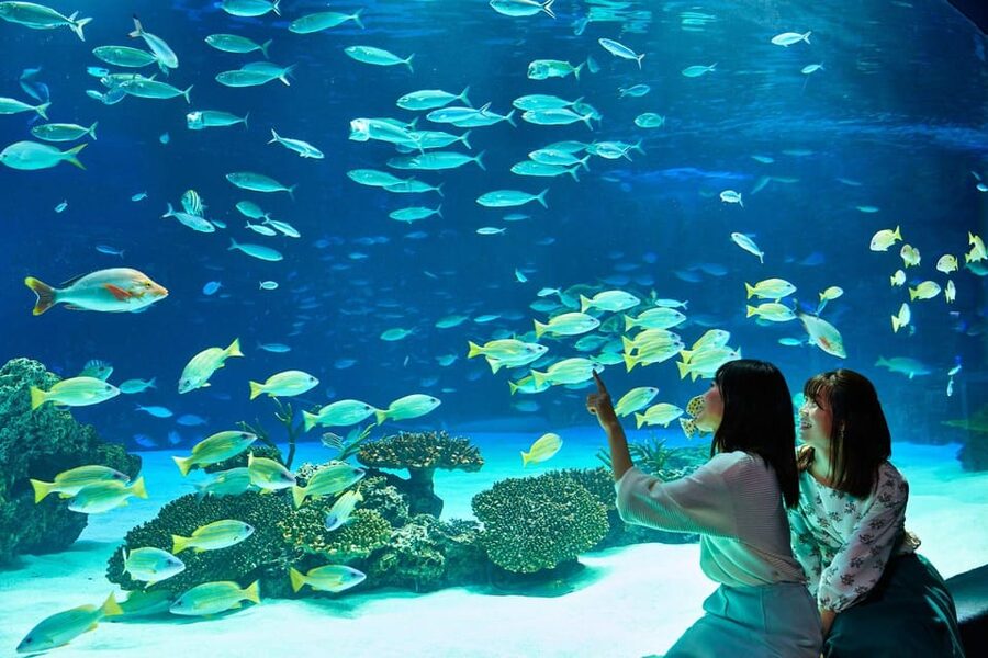 Tokyo: Sunshine Aquarium Entry Ticket - Rooftop Oasis in the Sky at Sunshine City