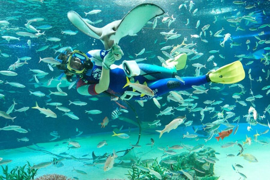 Tokyo: Sunshine Aquarium Entry Ticket - Water and greenery that make it feel tropical