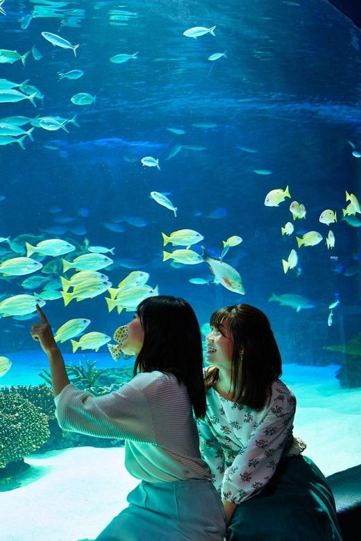 Tokyo: Sunshine Aquarium Entry Ticket - Who this rooftop aquarium suits best