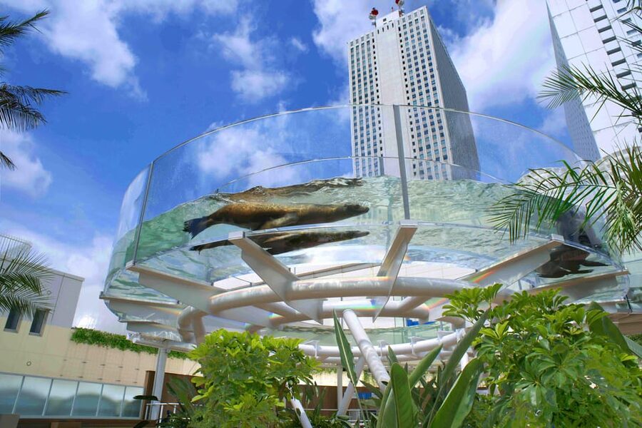 Tokyo: Sunshine Aquarium Entry Ticket - FAQ