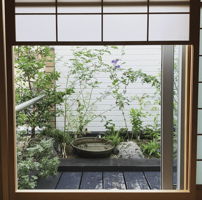 Tokyo: Tea Ceremony Experience in a small tea room - Price and value: what you get for $51 per person