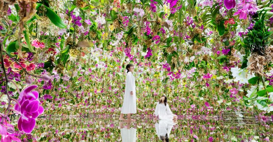 Tokyo: teamLab Planets TOKYO Digital Art Museum Entry Ticket - Tech helpers: should you use the teamLab app?