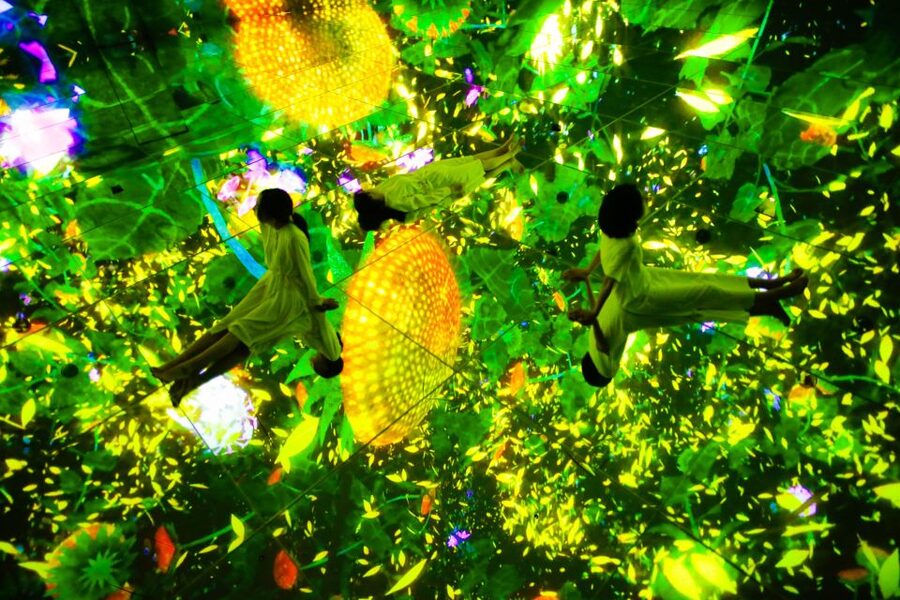 Tokyo: teamLab Planets TOKYO Digital Art Museum Entry Ticket - Inside the exhibition: how the rooms play with light, sound, and movement
