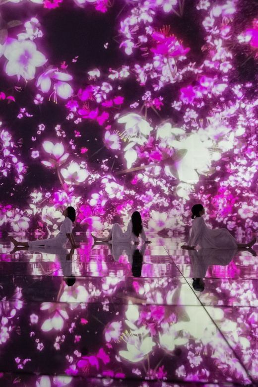 Tokyo: teamLab Planets TOKYO Digital Art Museum Entry Ticket - The orchid room and flower walls: a favorite for a reason
