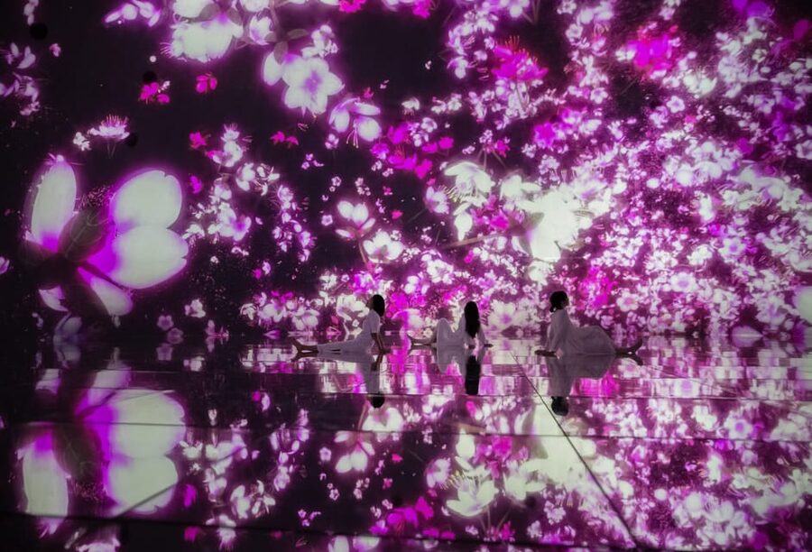 Tokyo: teamLab Planets TOKYO Digital Art Museum Entry Ticket - Water gallery and forest scenes: knee-high fun with real atmosphere