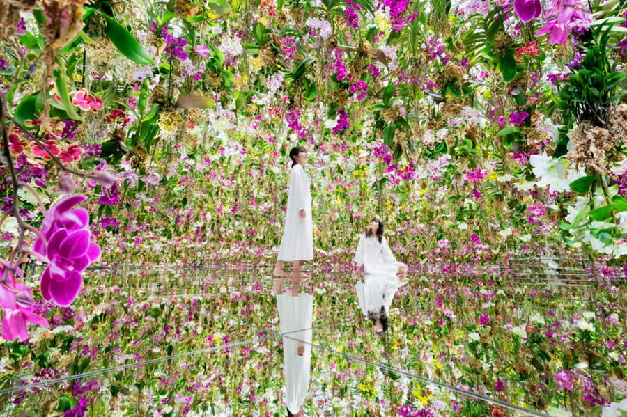 Tokyo: teamLab Planets TOKYO Digital Art Museum Entry Ticket - Price and value: is $25 actually a good deal?
