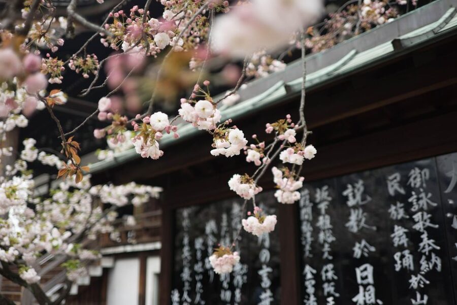 Tokyo to Kawagoe: Private Historical Day Trip - What personalization looks like in practice with guides like Leon and Lauren