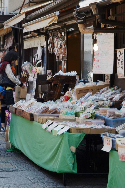Tokyo to Kawagoe: Private Historical Day Trip - Penny Candy Lane and Kurazukuri Street for crafts and sweet browsing
