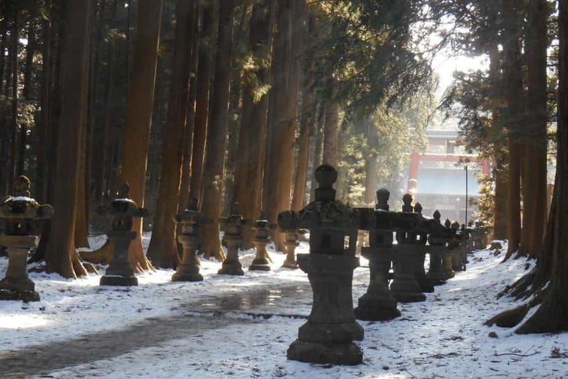 Tokyo To Mount FUJI Day Trip With English guide - Arakurayama Sengen Park: The Pagoda View That Pulls You In