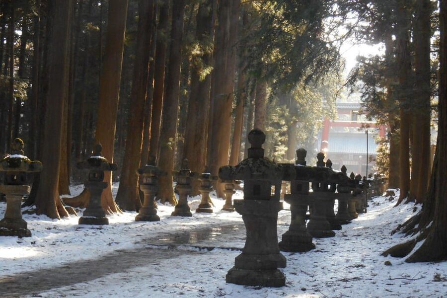 Tokyo To Mount FUJI Day Trip With English guide - The English Guide Factor: How Names Like Mina, Jack, and Asif Matter