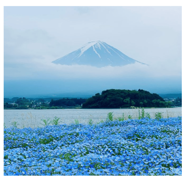 “Tokyo to Mt. Fuji & Hakone: Private Customizable Day Trip” - Lake Kawaguchiko: reflections, viewpoints, and a slower rhythm