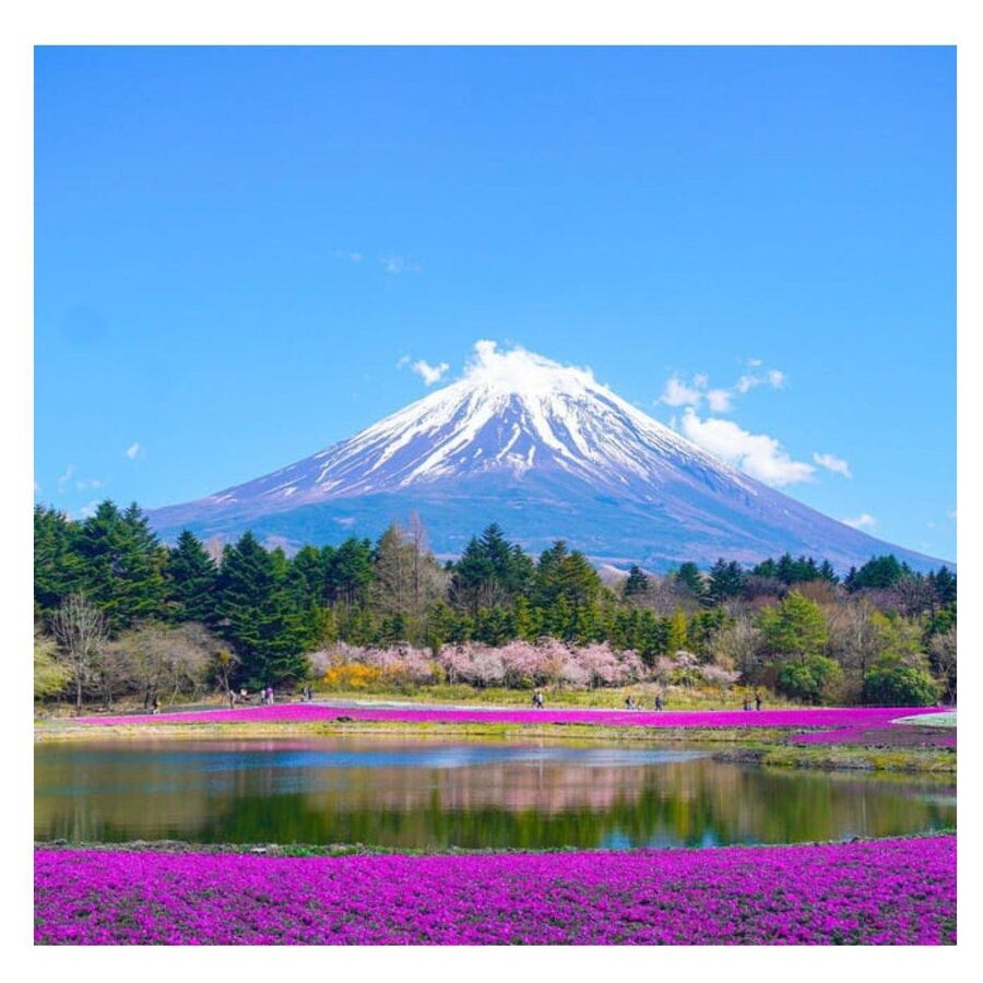 “Tokyo to Mt. Fuji & Hakone: Private Customizable Day Trip” - What is included, what to budget for, and what to pack