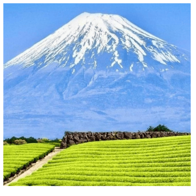 “Tokyo to Mt. Fuji & Hakone: Private Customizable Day Trip” - Luxury car comfort, English help, and the little perks that matter