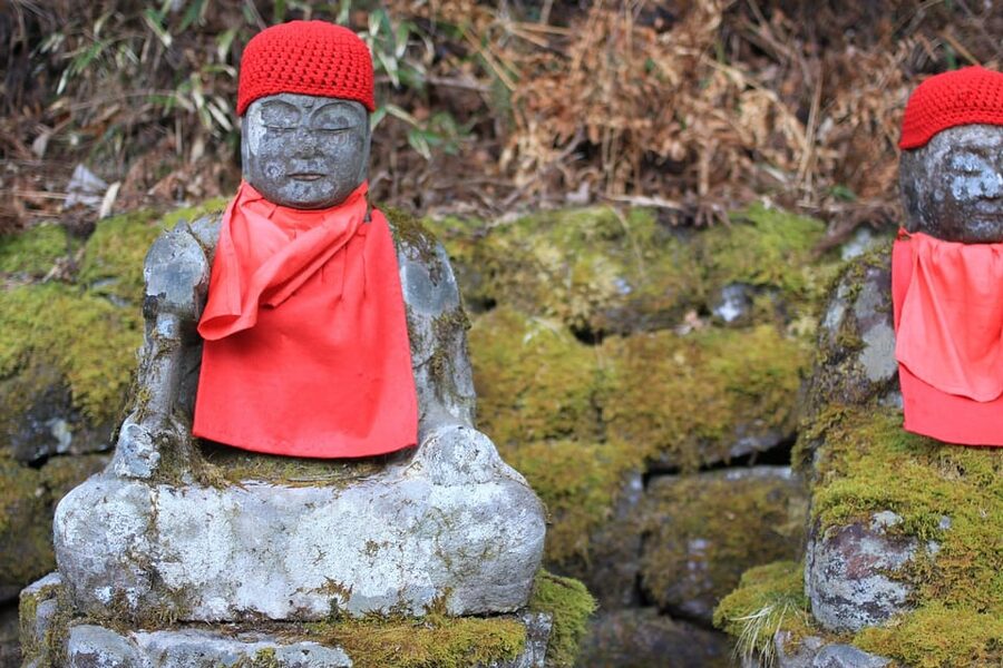 Tokyo to Nikko: Exclusive Private Day Trip - Who this exclusive private Nikko day trip is best for
