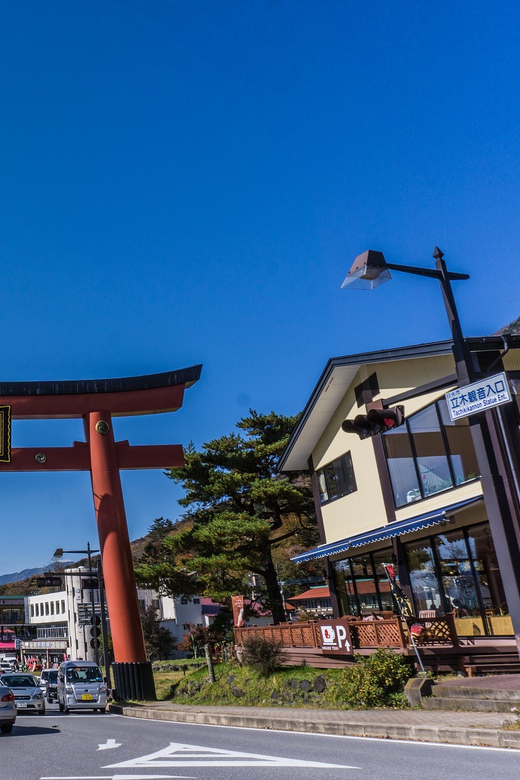 Tokyo to Nikko: Exclusive Private Day Trip - Toshogu Shrine: wood carvings and the five-story pagoda
