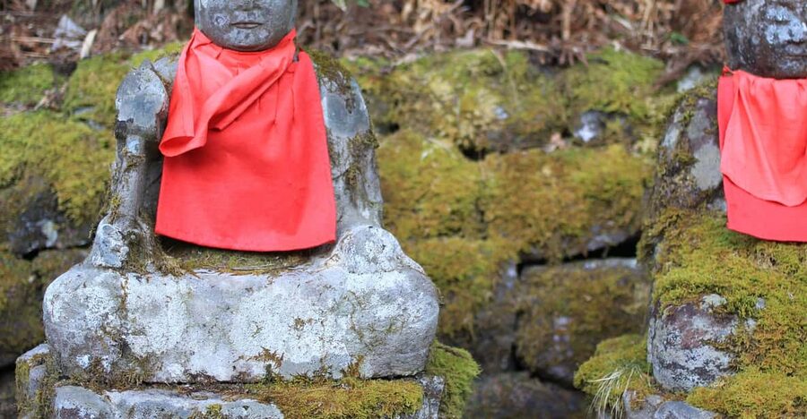 Tokyo to Nikko: Exclusive Private Day Trip - The Tobu Limited Express ride out of Tokyo is part of the plan