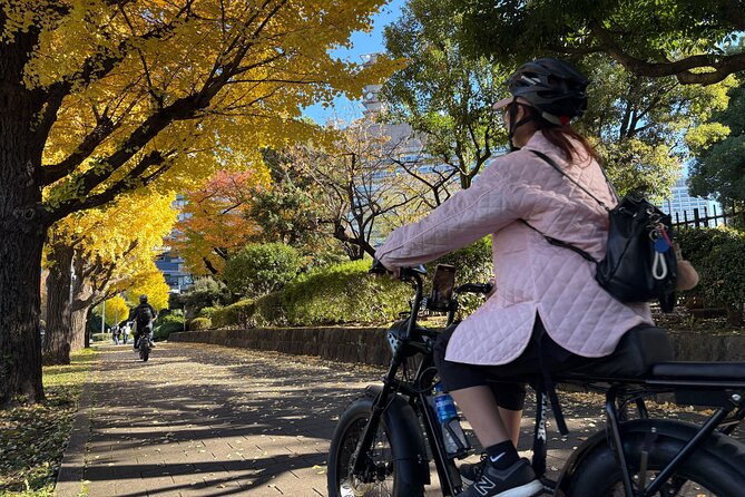 Tokyo Top Highlights 3h Guided E-bike Tour - Guides, Pace, and the Human Part of the Tour