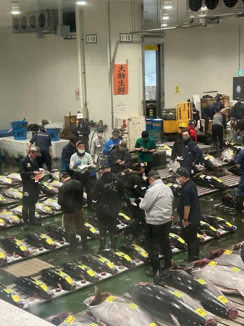 Tokyo Toyosu Tuna Auction + Breakfast (Sushi Dai or Bentomi) - Who should book this, and who should skip it