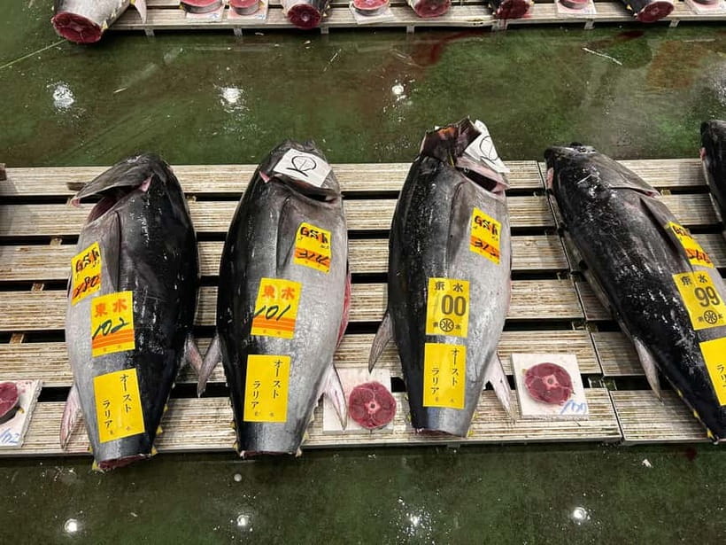 Tokyo Toyosu Tuna Auction + Breakfast (Sushi Dai or Bentomi) - Ground-Level Deck vs 3rd-Floor Gallery: Pick your kind of closeness