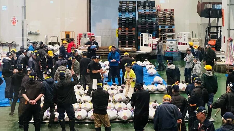 Tokyo: Toyosu Tuna Auction+Seafood Breakfast/Tsukiji Stroll - What you eat and why the breakfast timing is part of the value