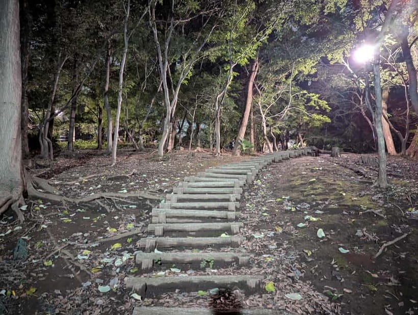Tokyo: True Crime And Ghost Stories Tour - Golden Gai Finish Energy, Then Trains Home
