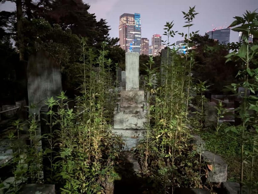 Tokyo: True Crime And Ghost Stories Tour - Should You Book This Tokyo True Crime and Ghost Stories Tour?