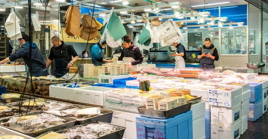 Tokyo Tsukiji Food & Culture Private Tour Licensed Guide - Why Tokyo’s Fish Markets Feel Personal With a Licensed Guide