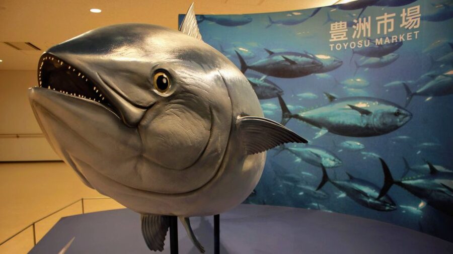 Tokyo Tsukiji Food & Culture Private Tour Licensed Guide - FAQ