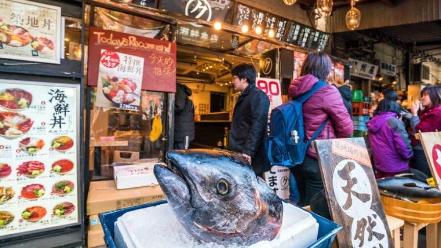 Tokyo Tsukiji Food & Culture Private Tour Licensed Guide - 4 vs 6 Hours in Tokyo: How Much You Can Really See