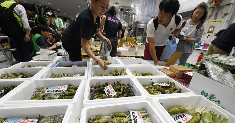 Tokyo Tsukiji Food & Culture Private Tour Licensed Guide - Price and Value: What $141 Covers, and What It Does Not