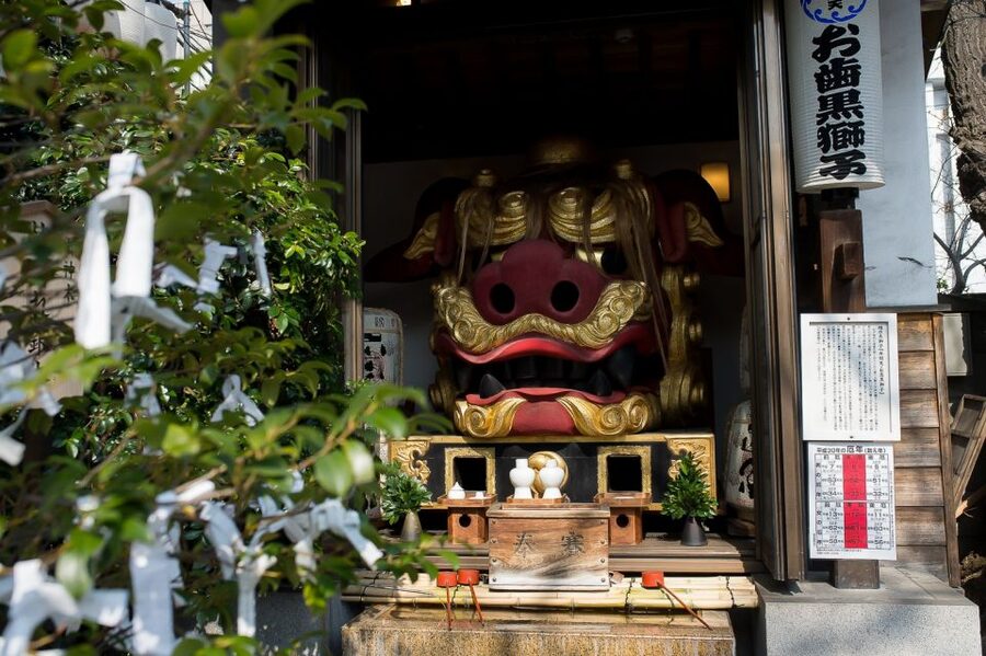 Tokyo: Tsukiji Market Walking Tour & Sushi Cooking Class - Who This Tour Suits Best, and Who Should Skip