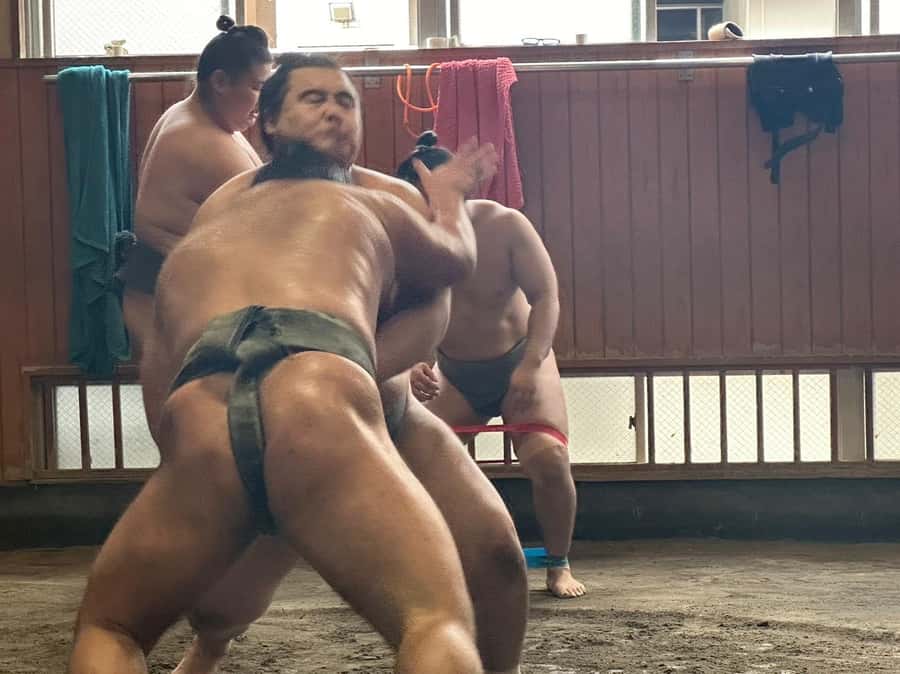 Tokyo: Visit Sumo Morning Practice with English Guide - Key highlights you should care about