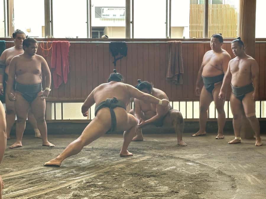 Tokyo: Visit Sumo Morning Practice with English Guide - Practical plan for your Tokyo day
