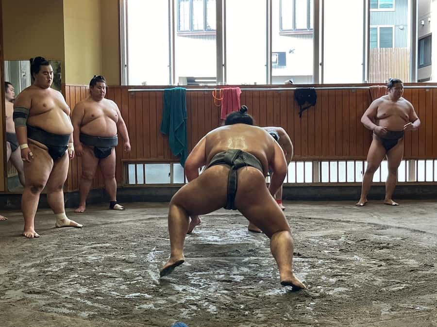 Tokyo: Visit Sumo Morning Practice with English Guide - Why Takasago-beya morning practice feels real (and not touristy)