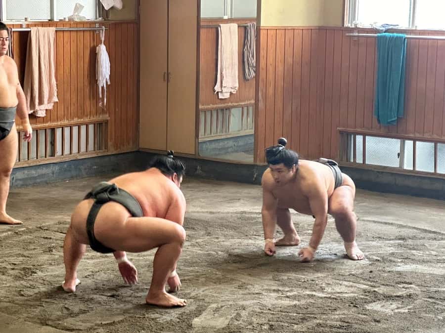 Tokyo: Visit Sumo Morning Practice with English Guide - Inside the training: what you will actually see