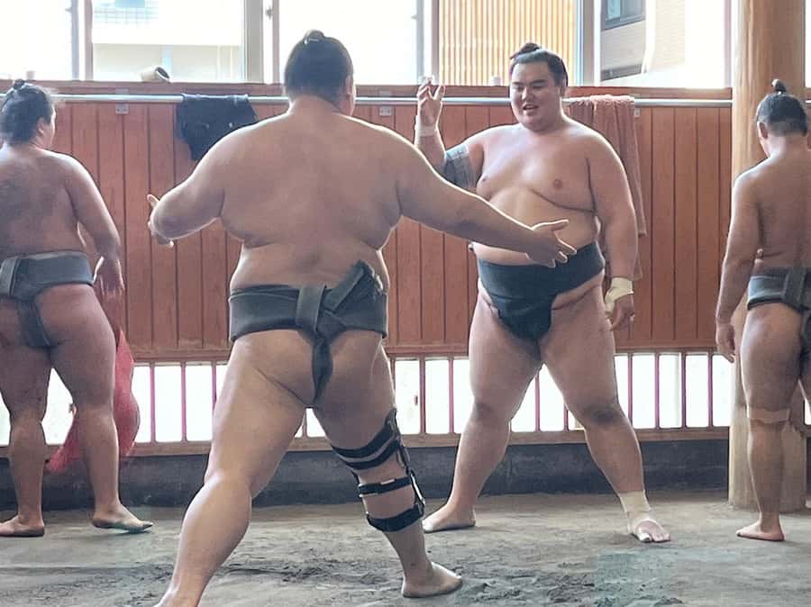 Tokyo: Visit Sumo Morning Practice with English Guide - Seating, heat, and quiet etiquette: the real comfort check