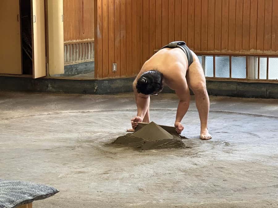 Tokyo: Visit Sumo Morning Practice with English Guide - Price and value: is $96 reasonable for 2 hours?