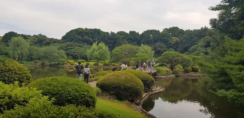 Tokyo Walk through: Shinjuku, Harajuku, Omotesando & Shibuya - Shinjuku Gyoen Garden: A Quiet Reset That Actually Feels Like Tokyo