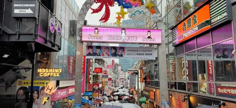 Tokyo Walk through: Shinjuku, Harajuku, Omotesando & Shibuya - Price and Value: Is $67 Worth a Half-Day Sampler?
