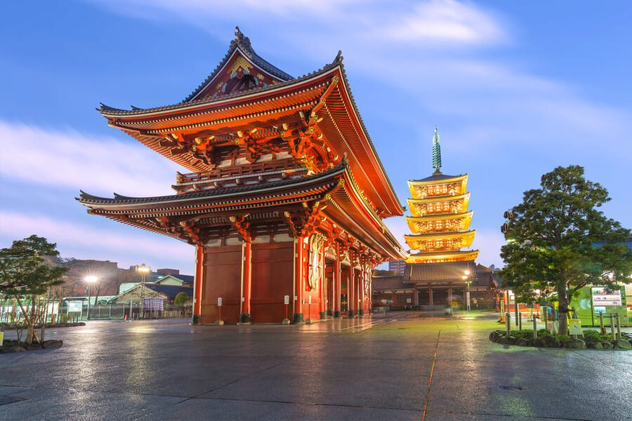 Tokyo: Winter Illuminations Private Tour with a Local - Who this tour is for, and who might want another option