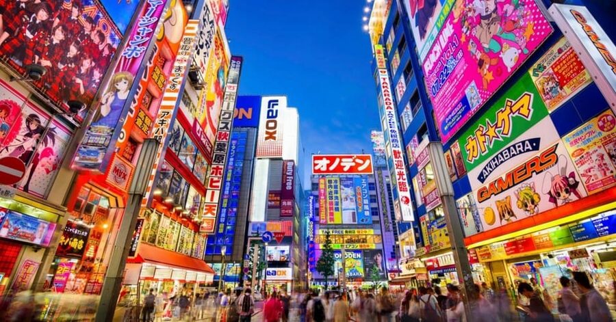 Tokyo: Winter Illuminations Private Tour with a Local - Why Tokyo winter lights feel different with a real local