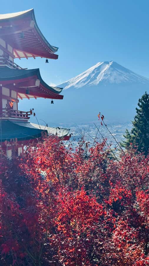 Tokyo/Yokohama: Mt. Fuji and Hakone Private Day Tour - Price and value: what $392 per group really covers