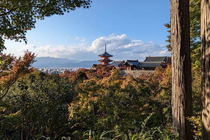 Tour in Kyoto with a Goverment Certified Tour Guide - Fushimi Inari and Kiyomizu-dera: the route’s best mood setters