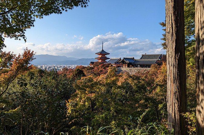 Tour in Kyoto with a Goverment Certified Tour Guide - Golden Pavilion and Silver Pavilion: when ticket costs show up