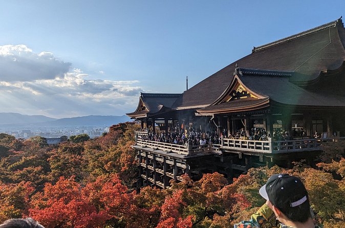 Tour in Kyoto with a Goverment Certified Tour Guide - Arashiyama bamboo and Tenryu-ji: nature, Zen, and a little patience
