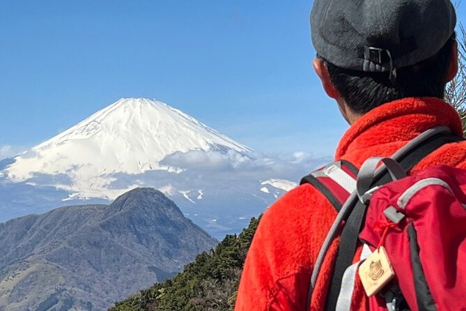 Traverse Outer Rim of Hakone Caldera and Enjoy Onsen Hiking Tour - Key Highlights You’ll Actually Feel During the Day